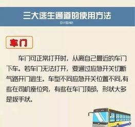 阳江今日爆料最新消息查询,揭秘今日热点事件真相 第3张 阳江今日爆料最新消息查询,揭秘今日热点事件真相 第3张
