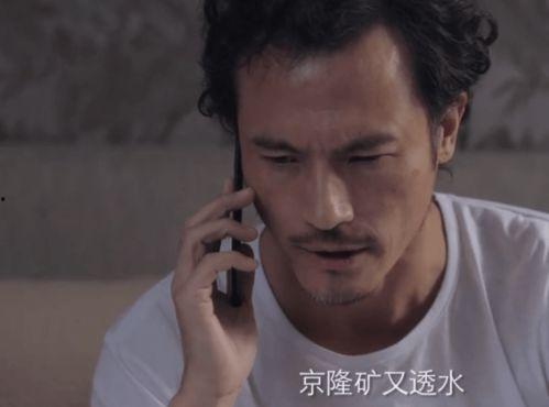 靳东爆料颜妮视频播放,揭秘娱乐圈背后的故事  第3张